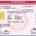 driving licence download pdf